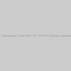 Image of Recombinant Purified Hemagglutinin Influenza A Virus H1N1 H1 (H1N1) (A/New Caledonia/20/99) protein control for Western